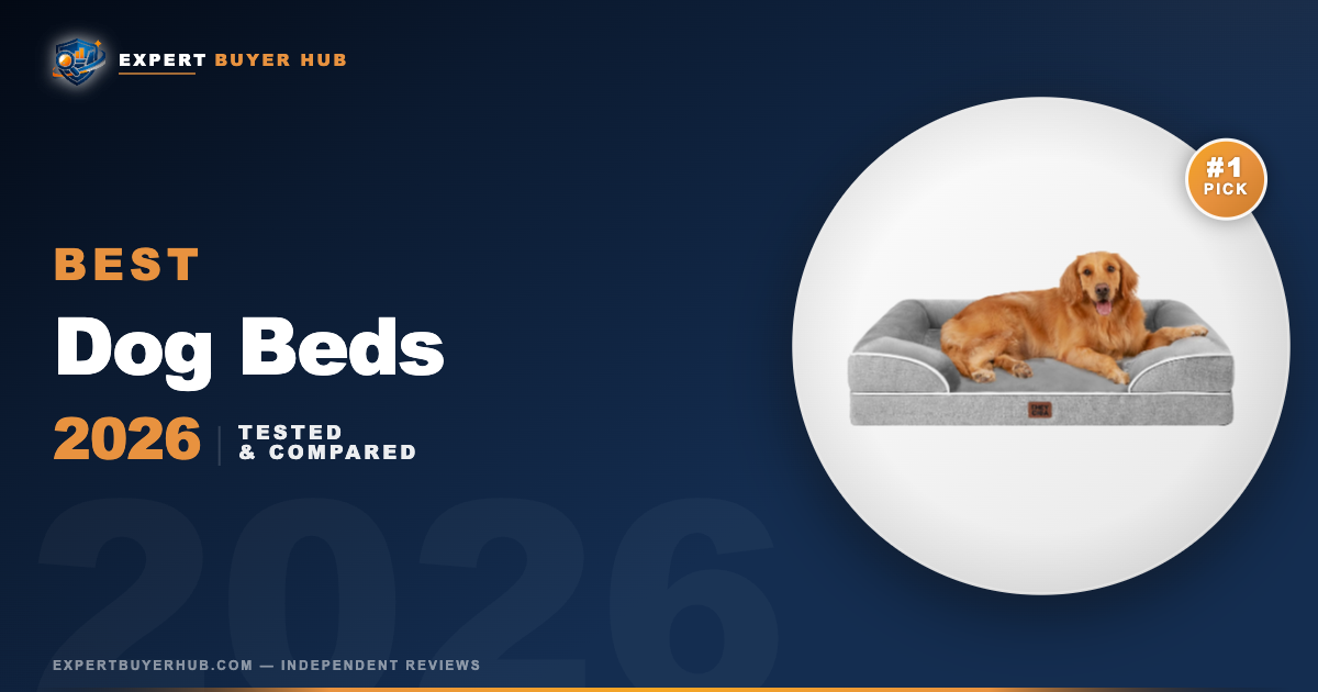 Best Dog Beds 2026 hero image